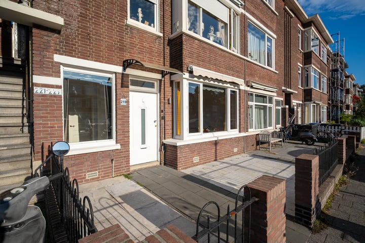 Bekijk foto 1 van Damasstraat 219