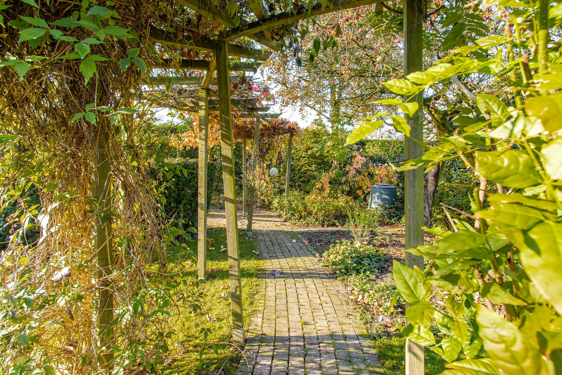 Foto 42 van Kamille 4