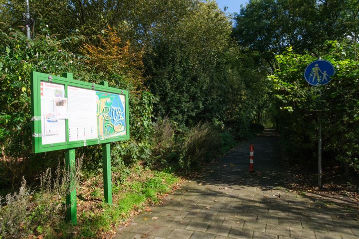 Bekijk foto 18 van Insulindeweg 838