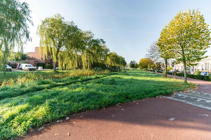 Foto 41 van Zuidpoldersingel 101