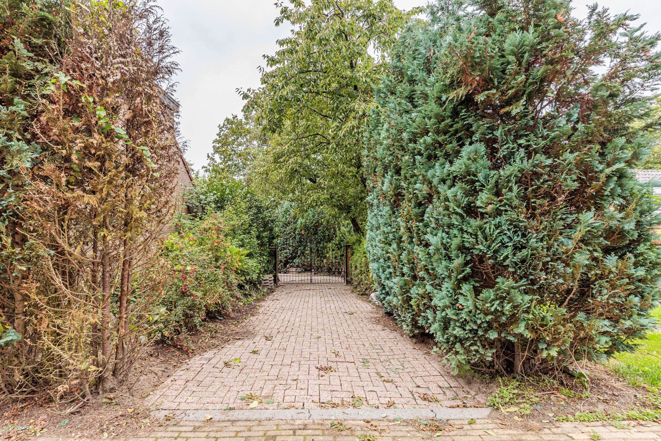 Foto 33 van Zinkweg 43