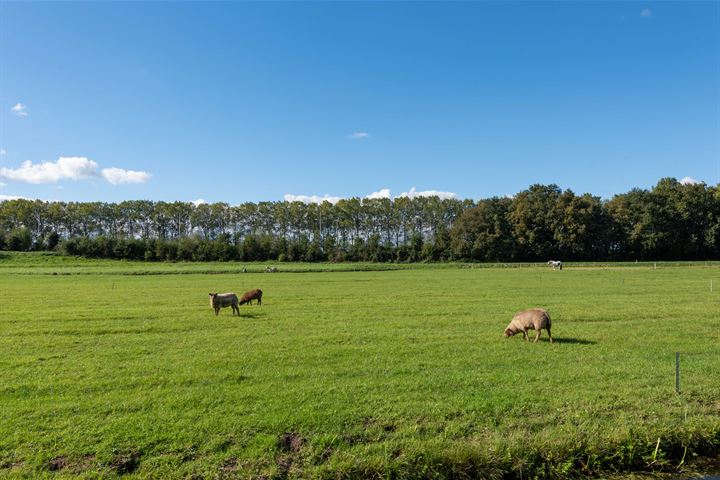 Bekijk foto 50 van De Hulk 6-A142