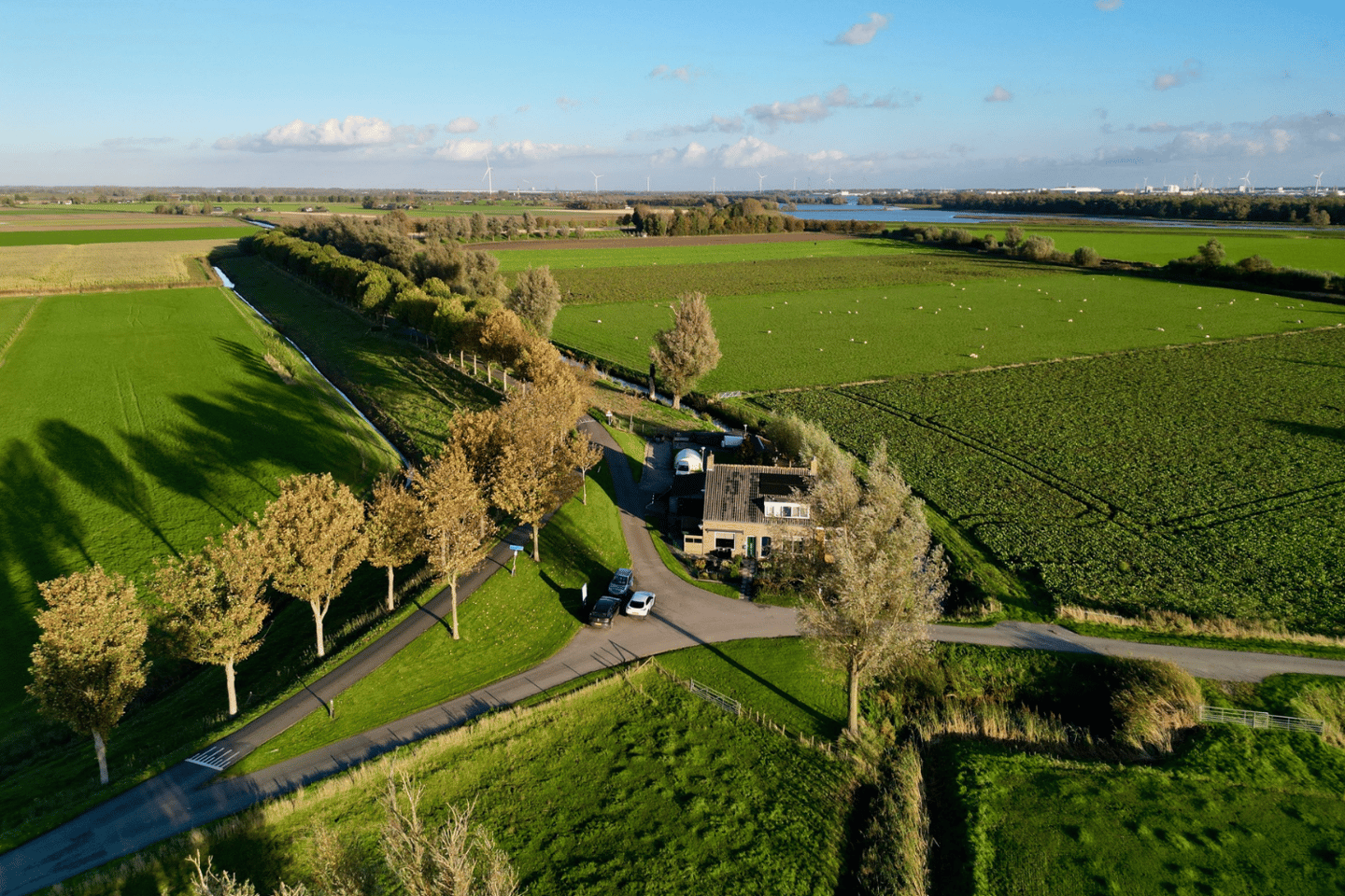 Foto 1 van Buitendijk 11