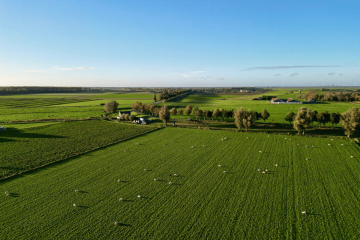 View photo 2 of Buitendijk 11