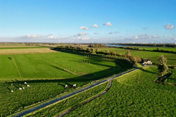 View photo 4 of Buitendijk 11