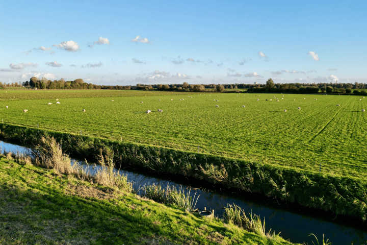 View photo 37 of Buitendijk 11