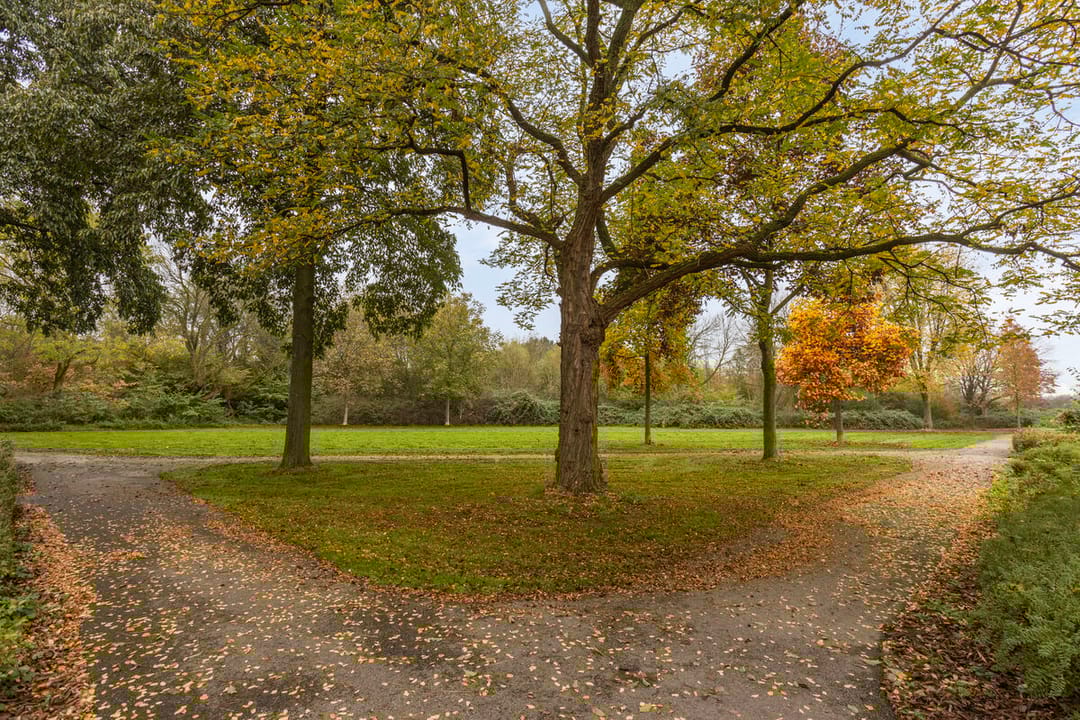 Foto 2 van Schepen Baeckhovenstraat 22