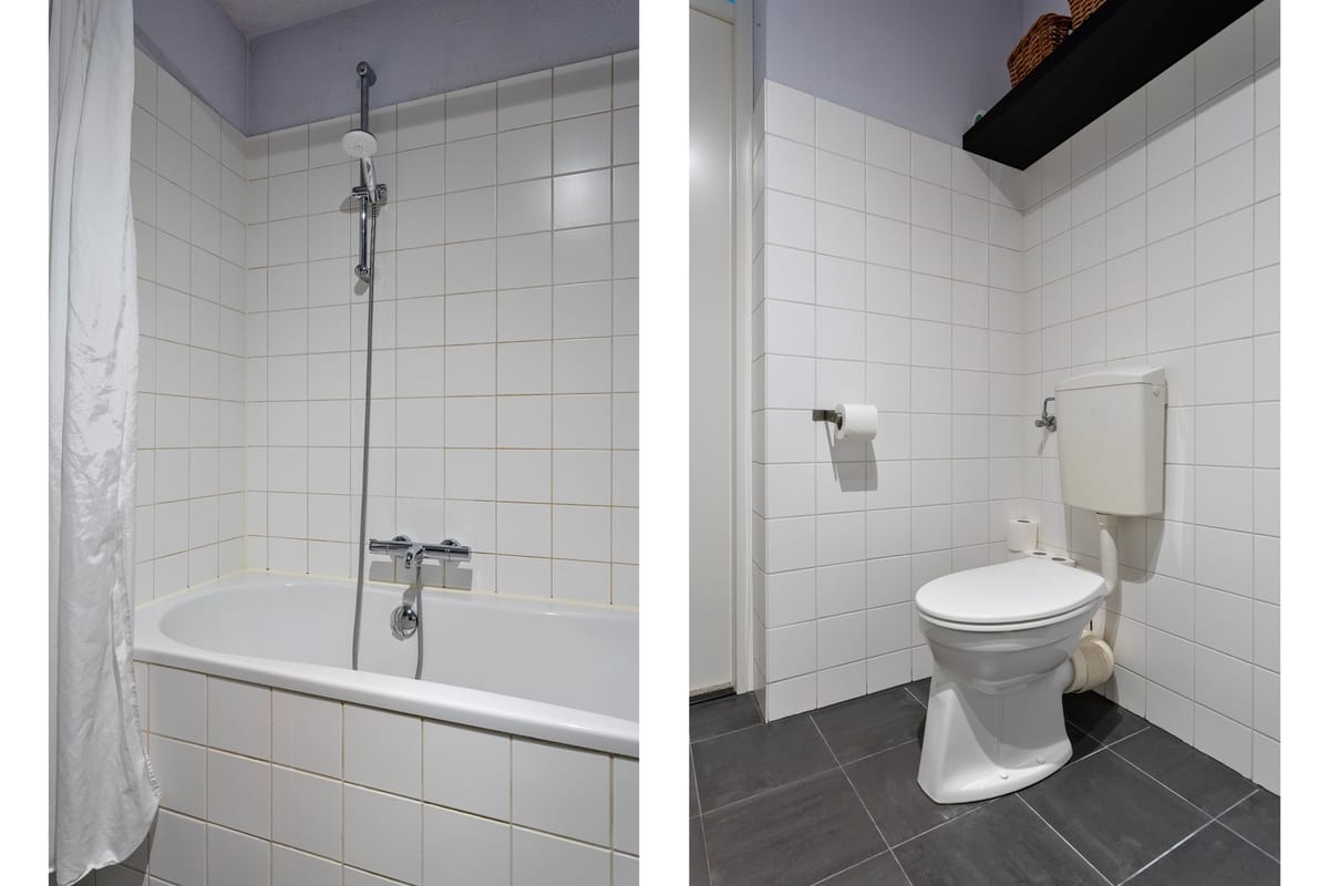 Foto 24 van de Lingert 6203