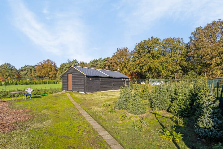 Bekijk foto 41 van Vreedepeelweg 21