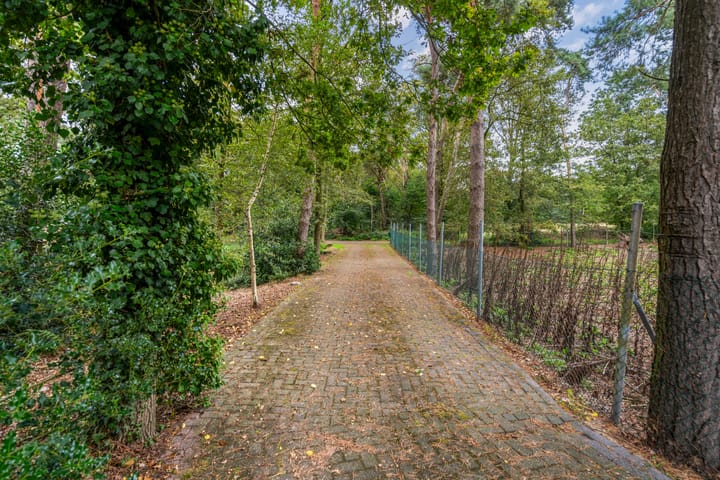 Foto 27 van Meijbaan 8