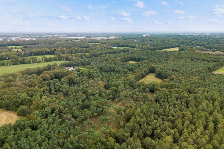 Foto 29 van Meijbaan 8