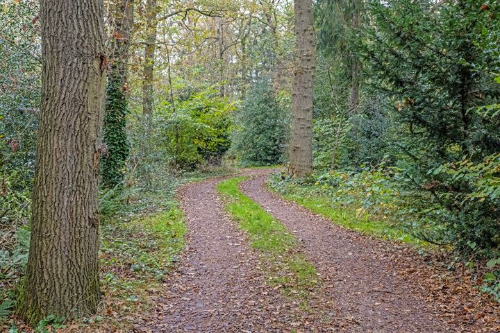 Bekijk foto 45 van Noordveldweg 1