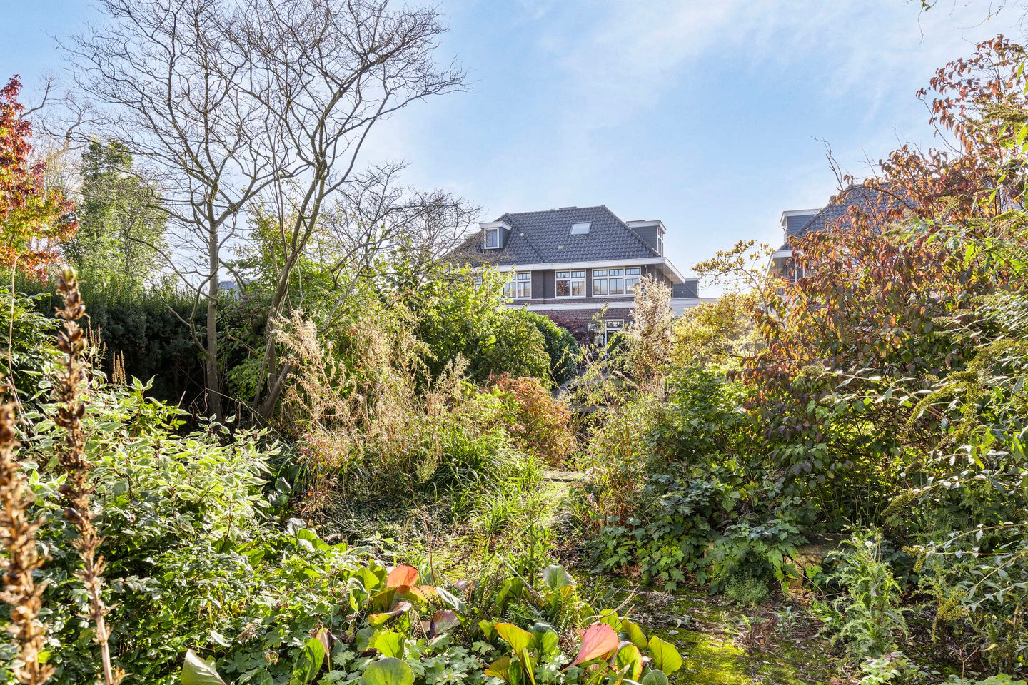 Photo 34 of Speulderbos 48