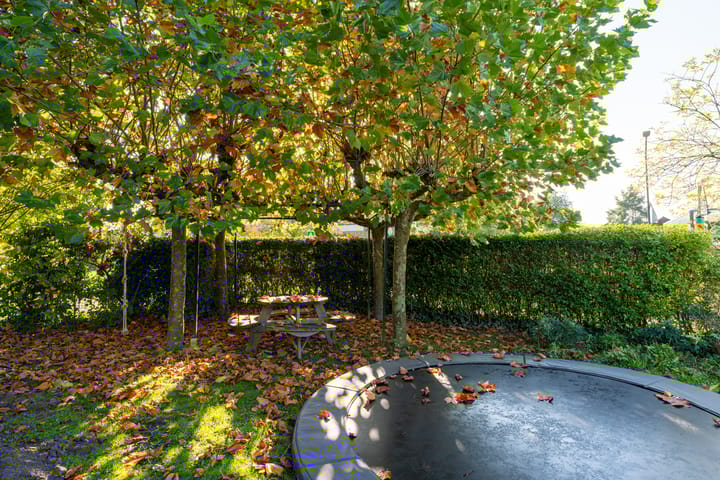 Foto 2 van Dorpsstraat 55