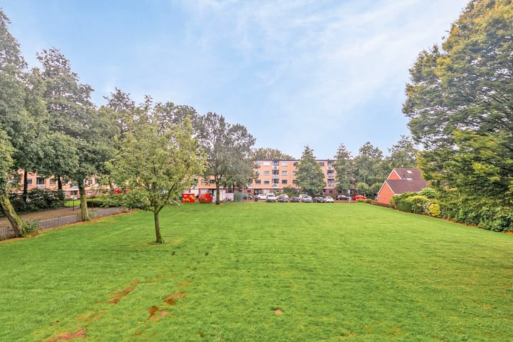 Foto 24 van Ferdinandus Gomes Alemanstraat 16