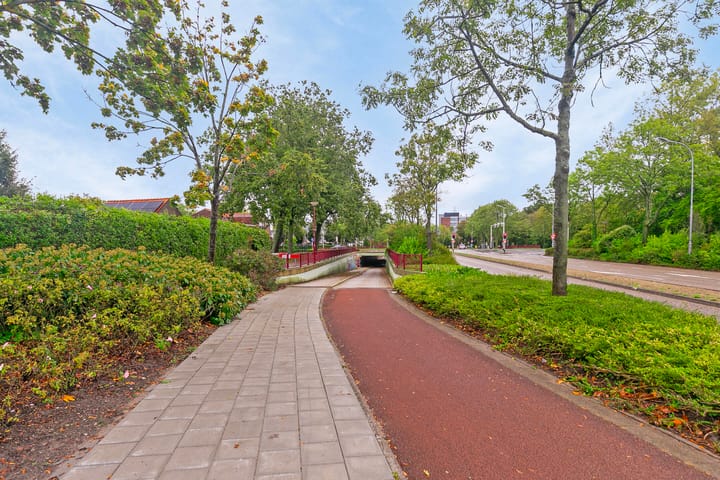 Foto 34 van Ferdinandus Gomes Alemanstraat 16