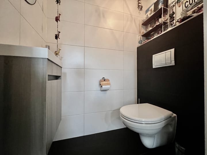 Foto 10 van Zilverschoon 28