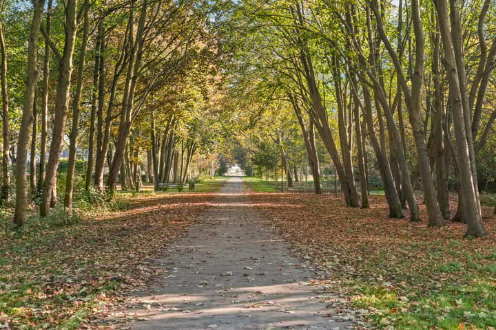 Foto 57 van Robijnplantsoen 2