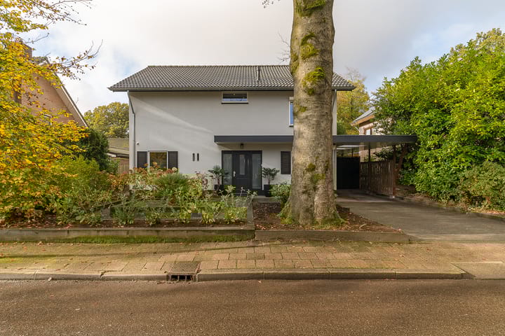 Foto 6 van Boterdijk 17