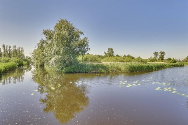 Bekijk foto 39 van Rietgorspad 22