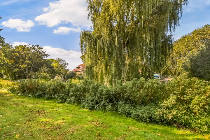 Foto 38 van Nassaulaan 17