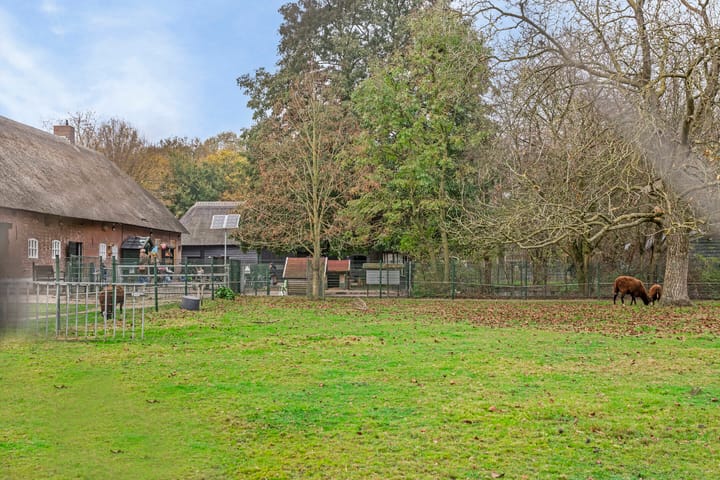 Foto 30 van Monteverdistraat 11