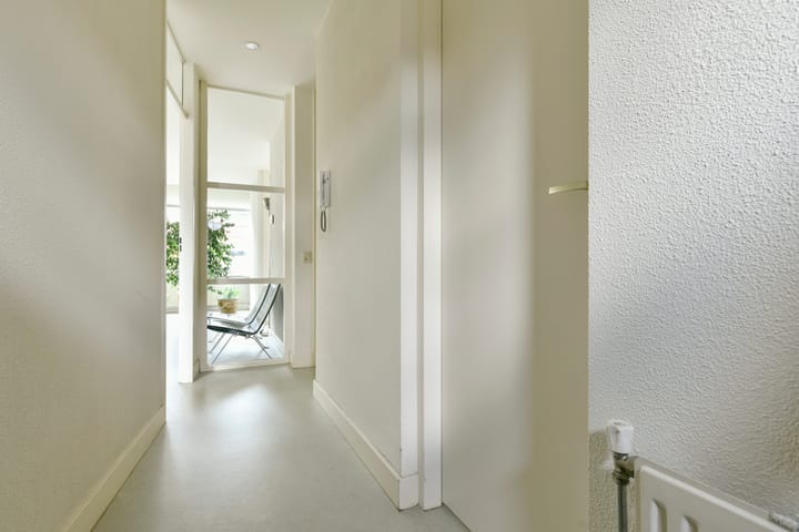 Foto 2 van Hemonystraat 36-F