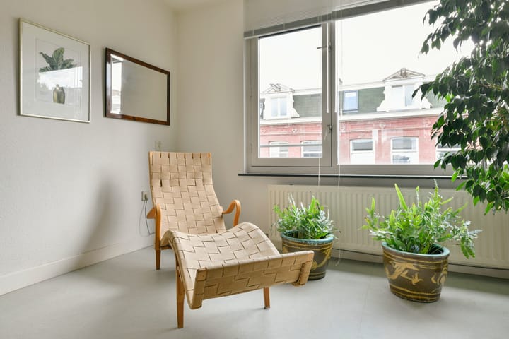 Foto 4 van Hemonystraat 36-F
