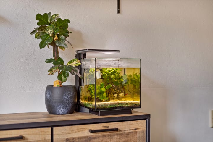 Foto 15 van Donaustraat 85