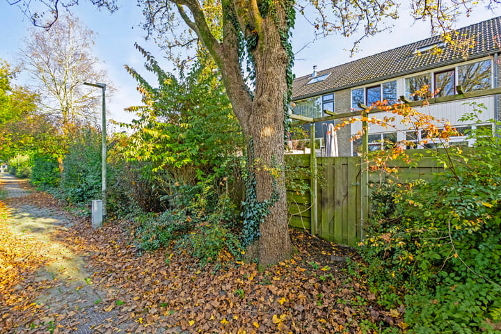 Foto 31 van Donaustraat 85