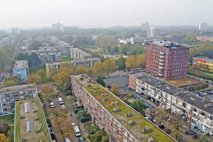 Bekijk foto 20 van Wantsnijdersgaarde 551