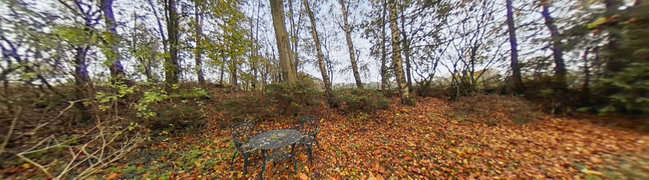 Bekijk 360° foto van Achtertuin van Eesterweg 13