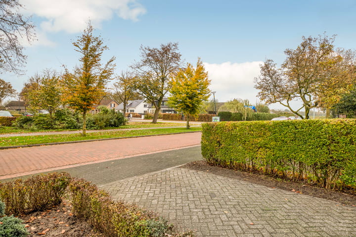 Foto 34 van Sprenkstraat 21