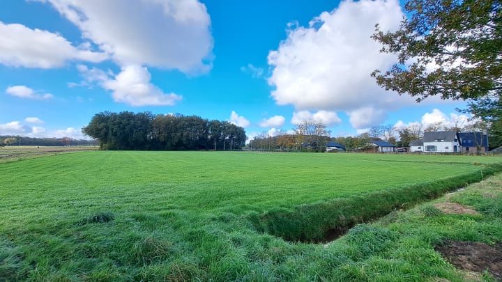 Foto 3 van Boksheidsedijk