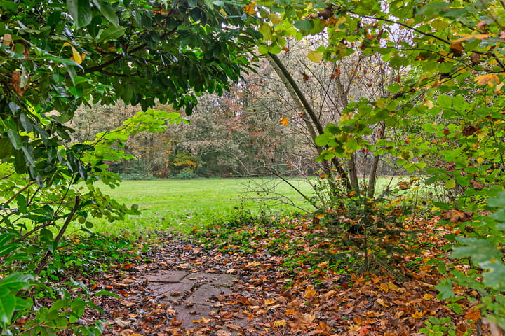 Foto 54 van De Hilver 18