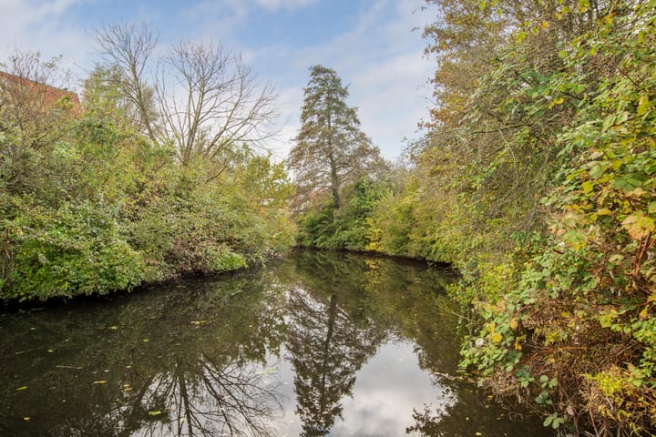 Photo 60 of Tirolstraat 128