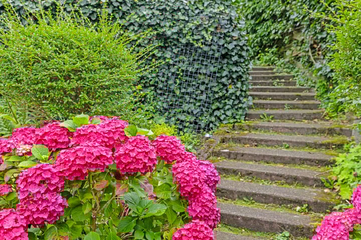 Foto 47 van Deventerweg 155