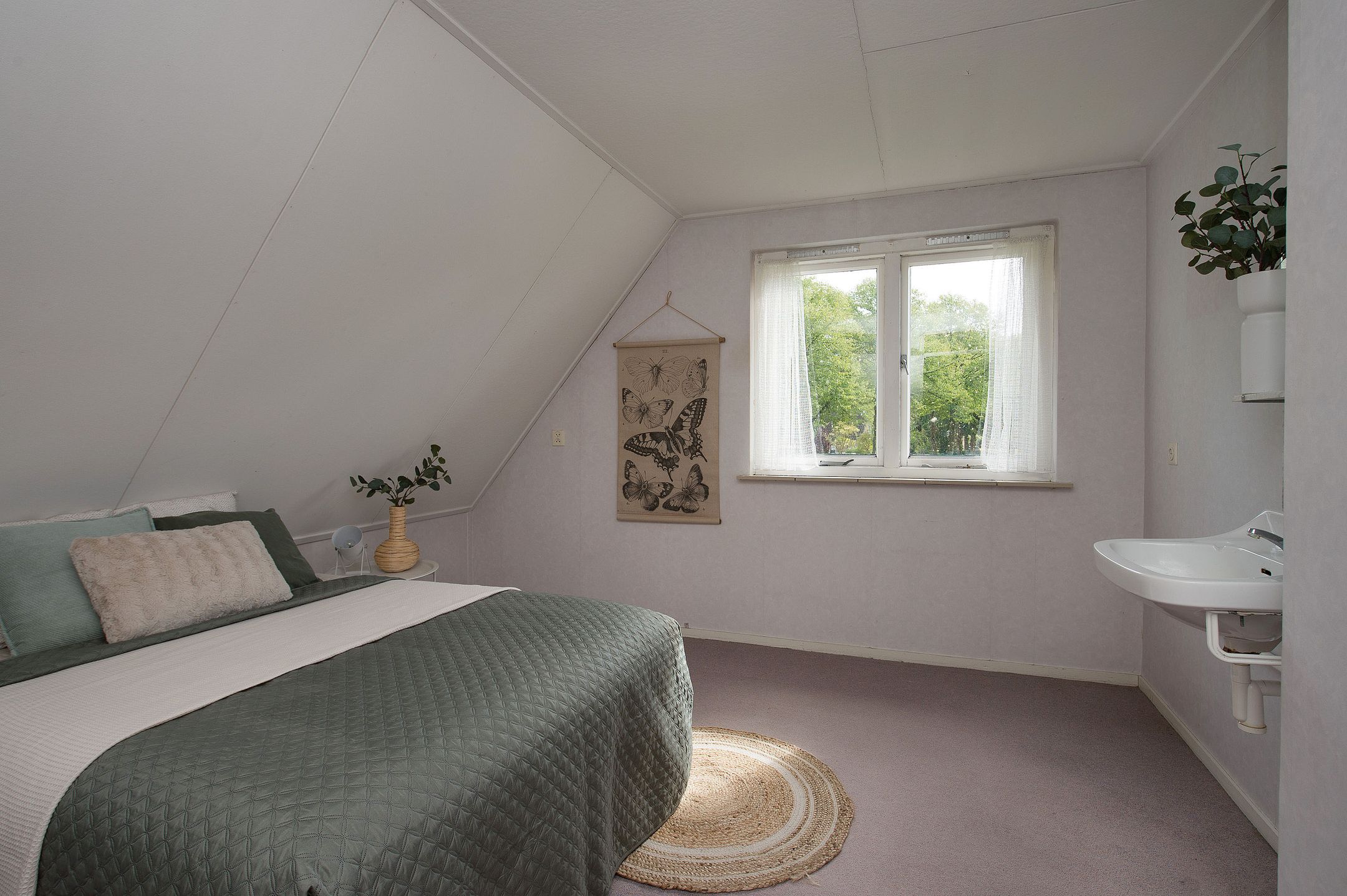 Foto 27 van Boerstraat 6