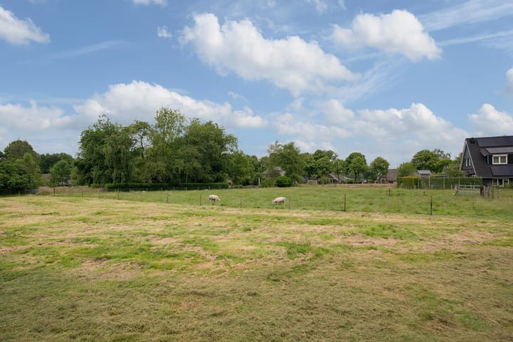 Foto 48 van Boerstraat 6