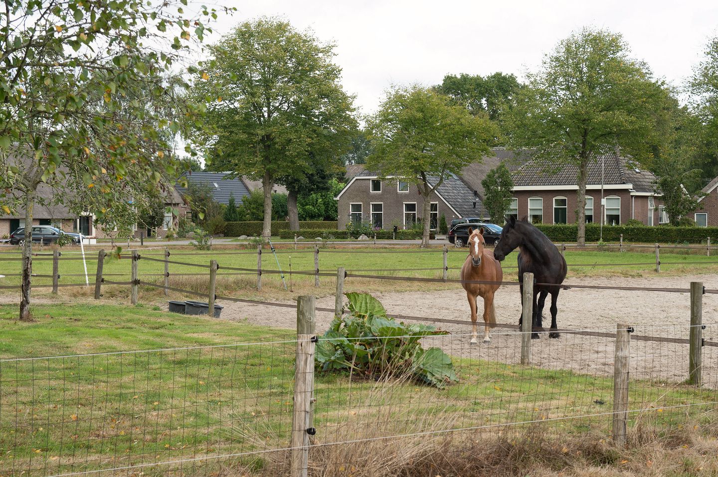 Foto 49 van Boerstraat 6