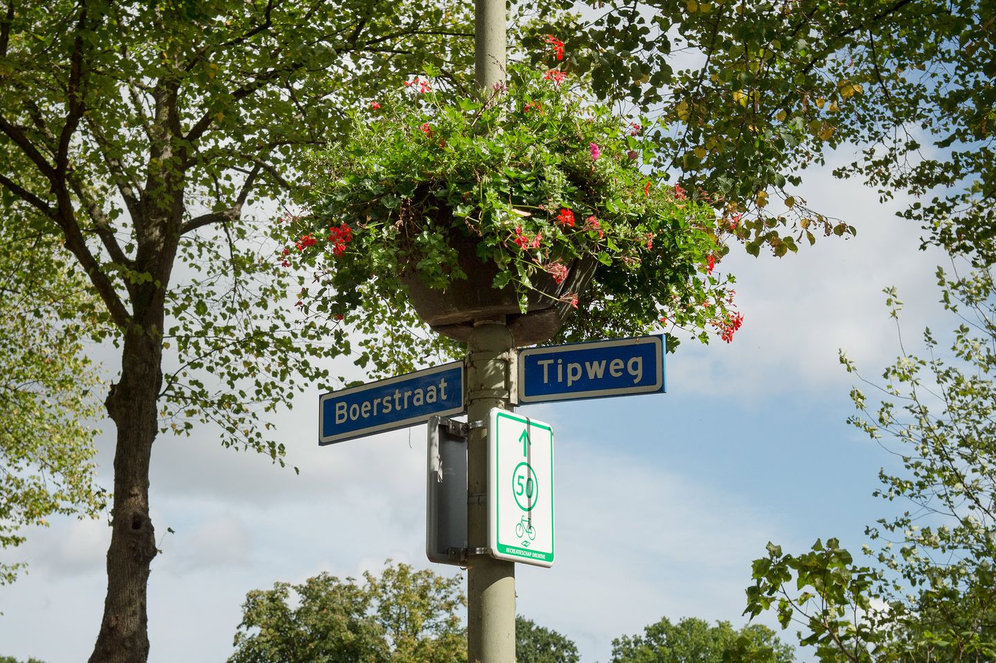 Foto 50 van Boerstraat 6