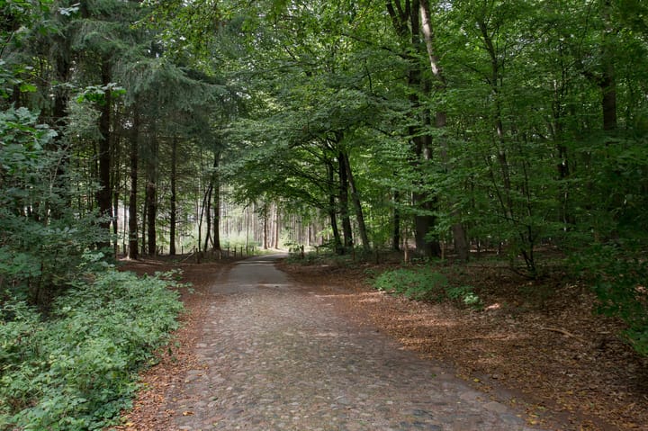 Foto 51 van Boerstraat 6