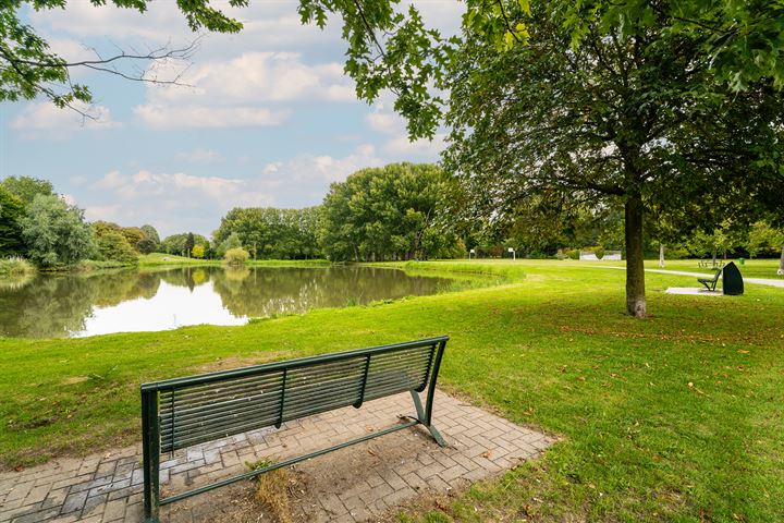 Bekijk foto 42 van Zwanensingel 22