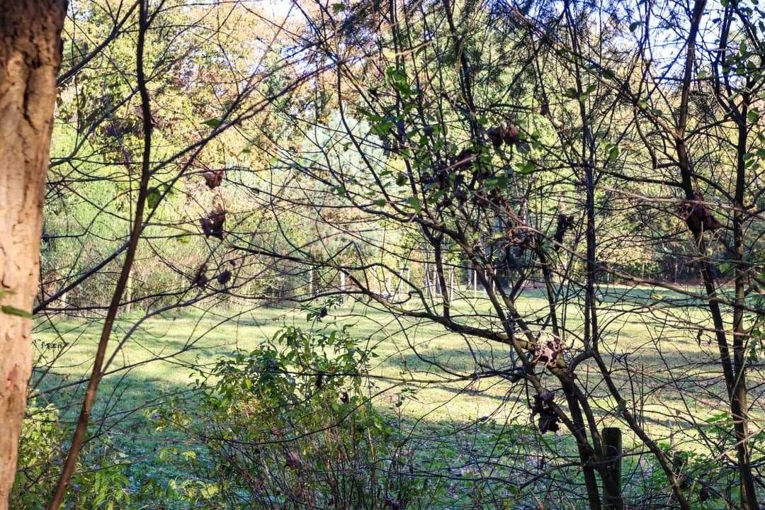 Foto 26 van Bovenweg 5-64