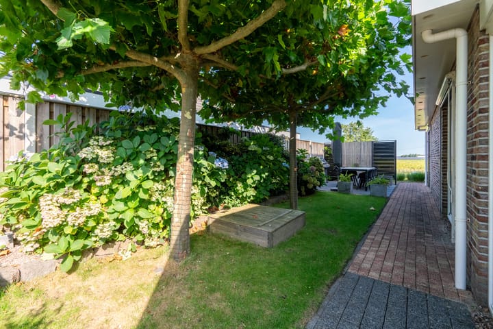 Foto 45 van Hazenleger 11