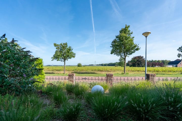 Foto 48 van Hazenleger 11