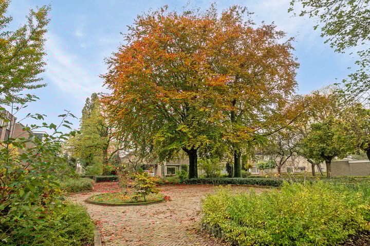 Foto 35 van Dotterbeek 20