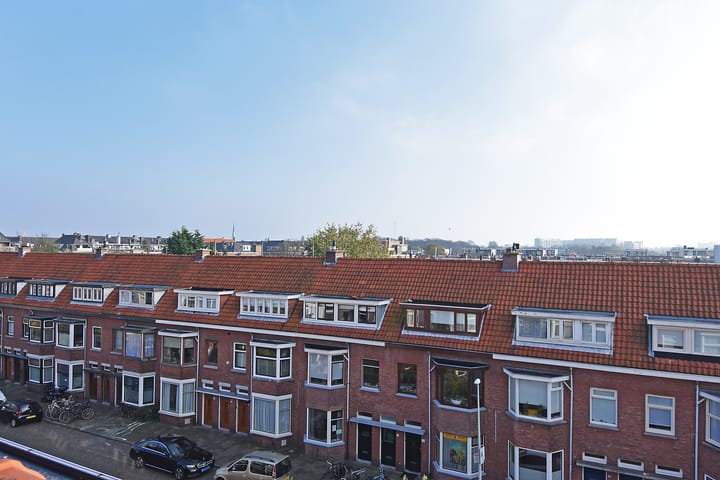 Foto 50 van Tomatenstraat 89