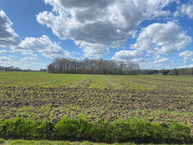 Foto 6 van Landgoed Albergerveld