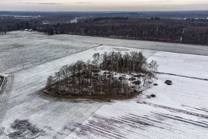 Bekijk foto 16 van Landgoed Albergerveld